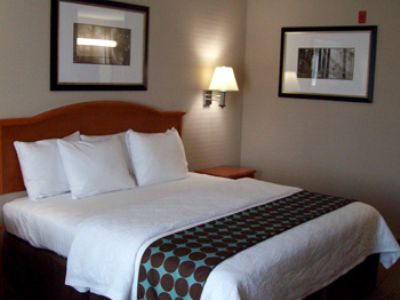 Best Western Plus Gen X Inn Memphis Quarto foto